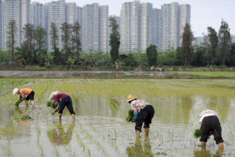 Beyond Hukou Reform: Enhancing Human-Centered Urbanization in China