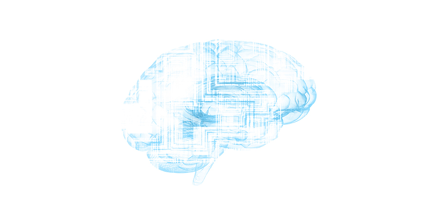 ChinAI Brain image